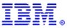 [IBM]